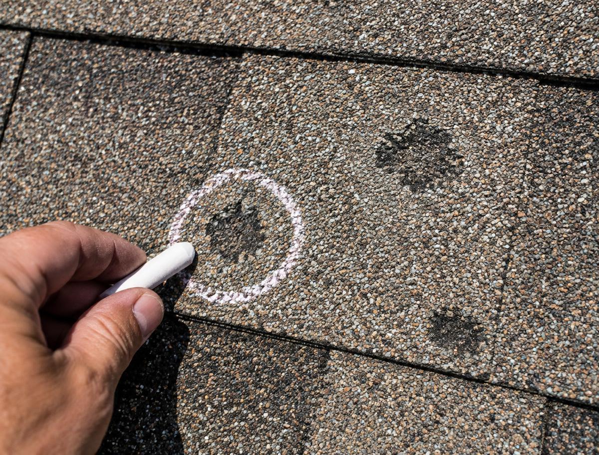 Close inspection of an irregular hail impact with displaced granules on an asphalt shingle
