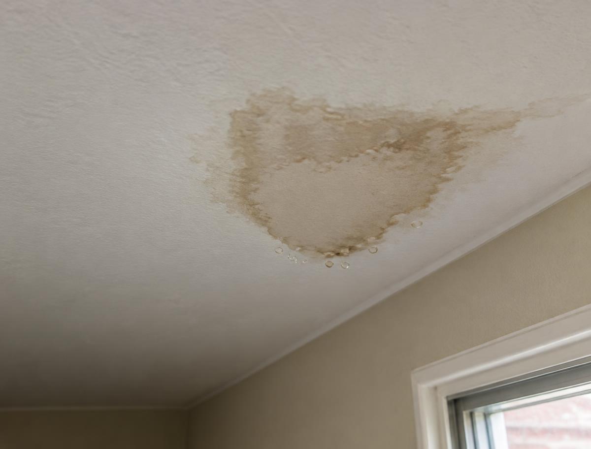 Water stain with drips forming on a ceiling near an exterior wall inside a Texas home