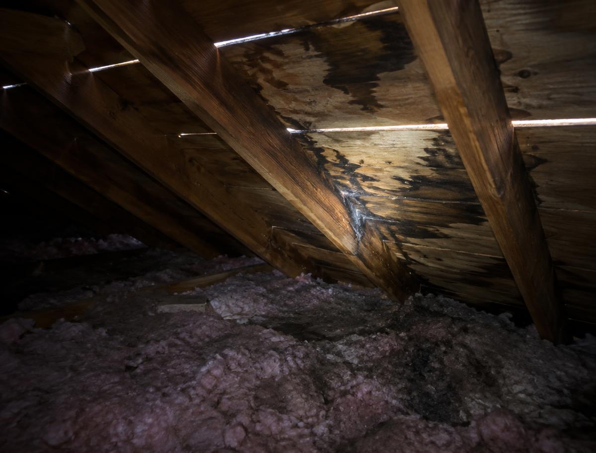 Attic of a Texas home with daylight showing between roof boards and dark water stains on the decking