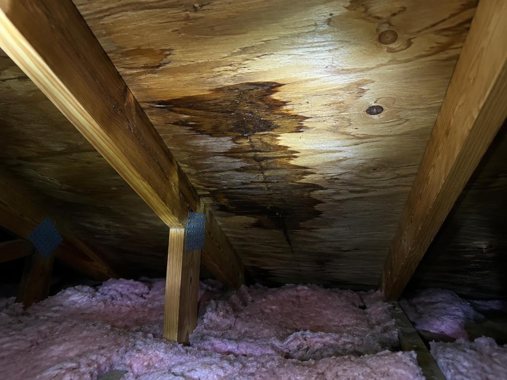 Flashlight beam on a water-stained roof deck inside a Texas attic